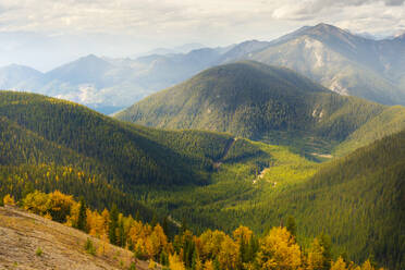 Rolling Mountains Pedley Pass im Herbst, British Columbia, Kanada - CAVF74477