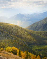 Rolling Mountains Pedley Pass im Herbst, British Columbia, Kanada - CAVF74481
