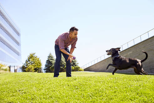 Ein Mann spielt mit seinem Hund. - CAVF74562