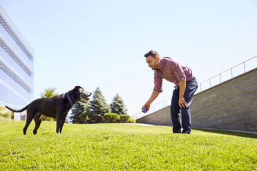 Ein Mann spielt mit seinem Hund. - CAVF74563