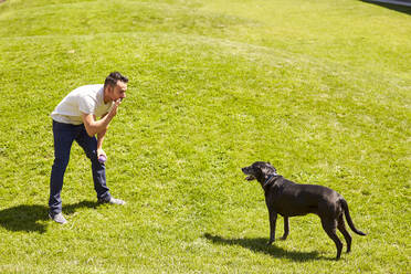 A man training his dog. - CAVF74566