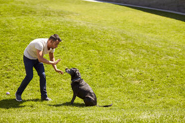Ein Mann trainiert seinen Hund. - CAVF74567