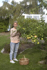 Woman picking apples - JOHF07776