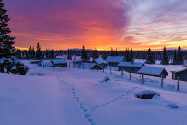 Sonnenuntergang im Winter - JOHF07826