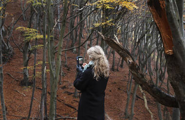 Frau fotografiert im Herbstwald - JOHF07856