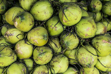 High angle close up of green coconuts piled high at a street side market. - MINF13334