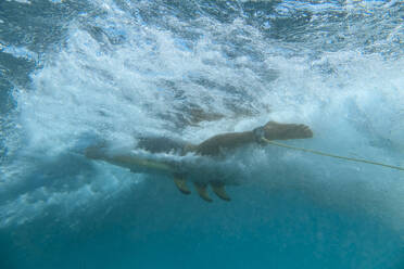 Underwater view of female surfer, Bali, Indonesia - KNTF04326