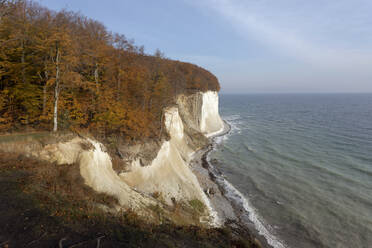 Deutschland, Rügen, Kreidefelsen mit Herbstwald an der Ostsee - ZCF00924