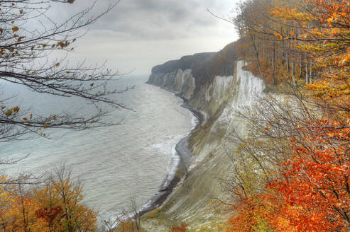 Deutschland, Rügen, Kreidefelsen mit Herbstwald an der Ostsee - ZCF00928