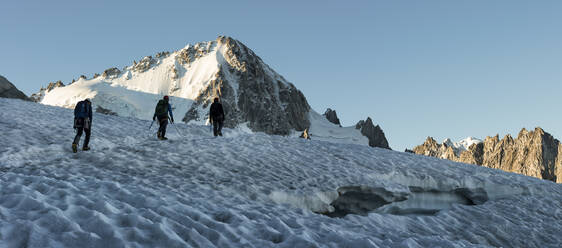 France, Mont Blanc Massif, Chamonix, Mountaineers climbing Aiguille de Chardonnet in the snow - ALRF01711