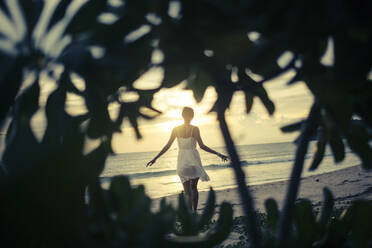 Rear view of young woman walking along beach at sunset, palm trees in foreground. - MINF13454