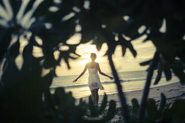 Rückansicht einer jungen Frau, die bei Sonnenuntergang am Strand spazieren geht, Palmen im Vordergrund. - MINF13454
