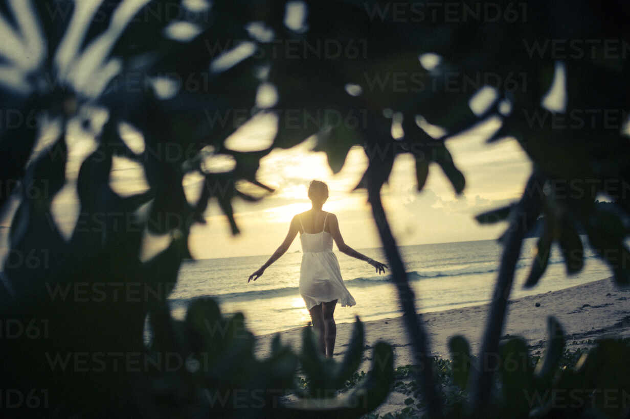 Free Photo  Young woman walking on the beach at sunset