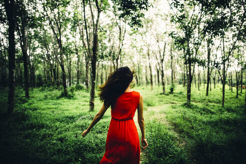 Rear view of young woman wearing red dress running in a forest. - MINF13456