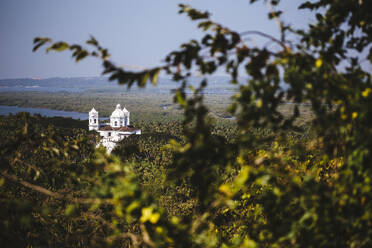 Landschaft mit Baumzweig im Vordergrund und Kathedrale in der Ferne. - MINF13460