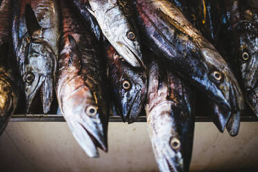 High angle close up of fish at a market. - MINF13489