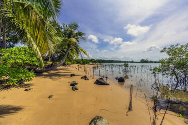 Indonesia, Bintan Island, Tropical beach - THAF02755