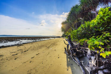 Indonesien, Bintan, Tropischer Strand - THAF02771