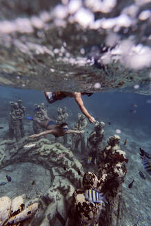 Frau und Mann schwimmen in der Nähe von Unterwasserskulpturen von Jason deCaires Taylor, Insel Gili Meno, Bali, Indonesien - KNTF04335