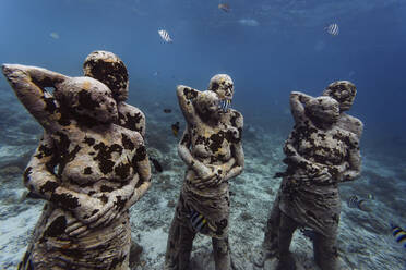 Unterwasserskulpturen von Jason deCaires Taylor, Insel Gili Meno, Bali, Indonesien - KNTF04338