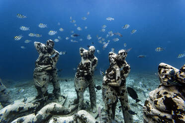 Underwater sculptures made by Jason deCaires Taylor, Gili Meno island, Bali, Indonesia - KNTF04339