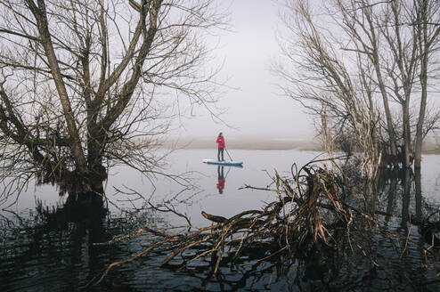 Junge Frau beim Stand Up Paddle Surfing auf einem See im Nebel - DGOF00306