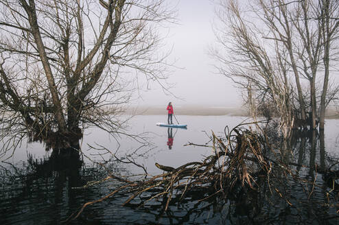 Young woman stand up paddle surfing on a lake in the fog - DGOF00306