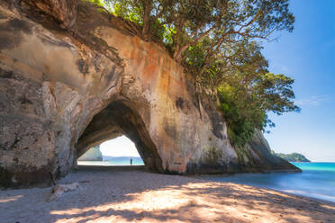 Neuseeland, Cathedral Cove Bogen und sandiger Küstenstrand im Meeresschutzgebiet Te Whanganui-A-Hei - SMAF01824