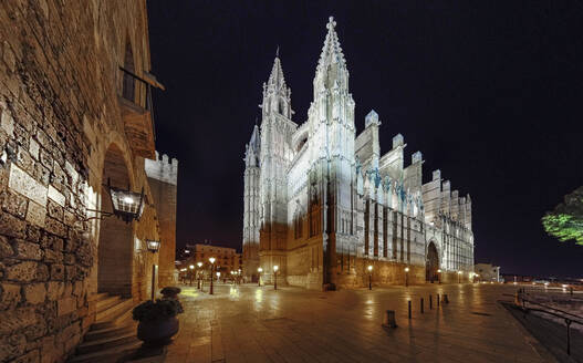 Spanien, Balearische Inseln, Palma de Mallorca, Kathedrale Santa Maria von Palma bei Nacht beleuchtet - AMF07818