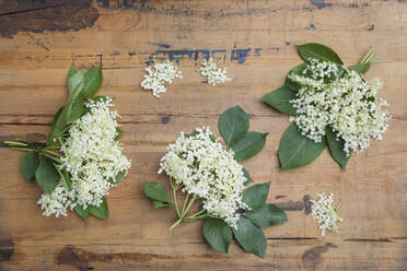 Holunderblüten (Sambucus) mit Blättern auf Holztisch - GWF06427