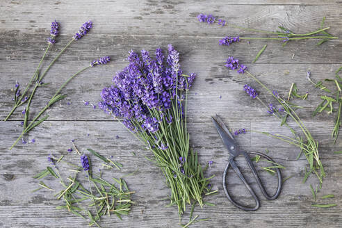 Strauß Lavendel (Lavandula angustifolia) auf Holztisch - GWF06431