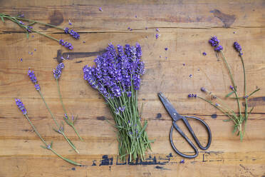 Strauß Lavendel (Lavandula angustifolia) auf Holztisch - GWF06432