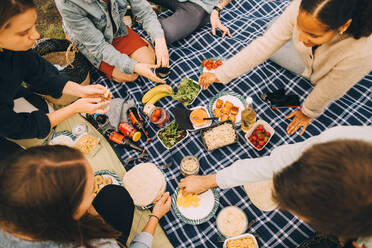 High angle view of friends enjoying food on picnic blanket - MASF16714