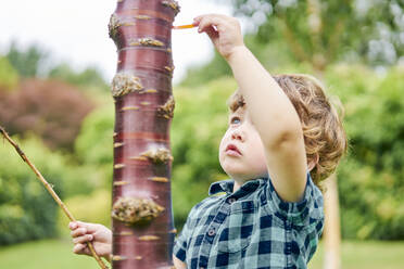 Toddler discovering unusual tree in park - CUF54705