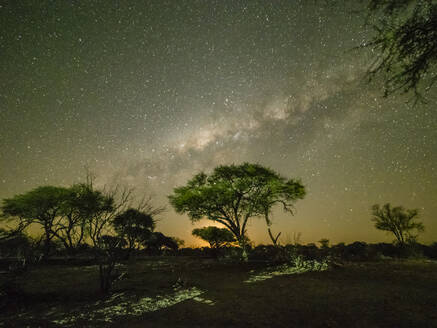 Die Milchstraße über Akazienbäumen bei Nacht im Okavango-Delta, Botswana, Afrika - RHPLF13843