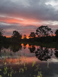 Sonnenuntergang am Rio El Dorado, Pacaya-Samiria Reservat, Loreto, Peru, Südamerika - RHPLF13844