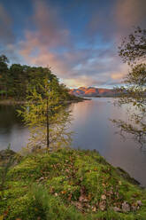 Autumn twilight over distant Lakeland Fell, Skiddaw and Derwent Water from Brandlehow Wood, Borrowdale, Lake District National Park, UNESCO World Heritage Site, Cumbria, England, United Kingdom, Europe - RHPLF13906