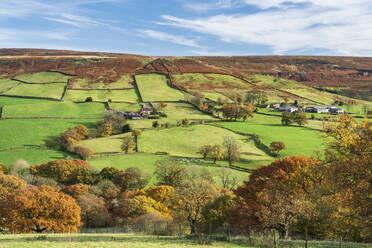 Autumn sunlight over green fields and deciduous woodland in Farndale, The North Yorkshire Moors, Yorkshire, England, United Kingdom, Europe - RHPLF13907