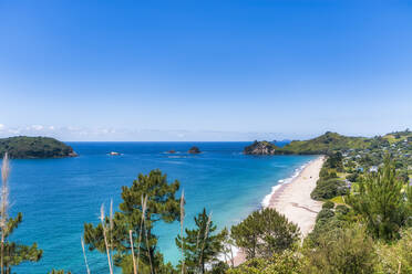 Hahei Beach, Waikato, Nordinsel, Neuseeland - SMAF01830