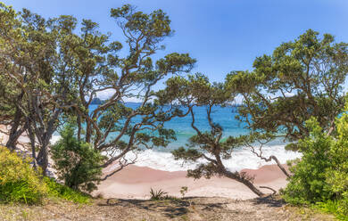 Hahei Beach, Waikato, Nordinsel, Neuseeland - SMAF01832