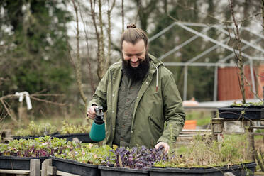 Gardener spraying seedlings with pesticide - FLLF00402