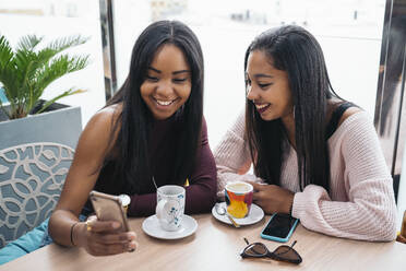 Zwei glückliche junge Frauen teilen sich ein Handy in einem Café - MPPF00492