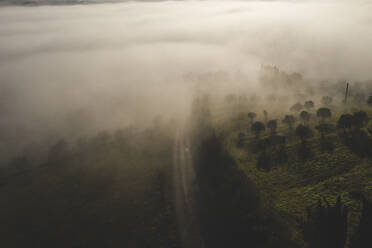 Italy, near Perugia, Aerial view of fog in valley - WPEF02624