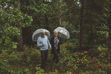Älteres Paar im Wald - JOHF07979
