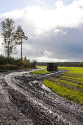 Landschaft mit schlammigem Feldweg - JOHF08137