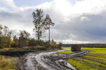 Landschaft mit schlammigem Feldweg - JOHF08138