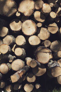 Logs - JOHF08160