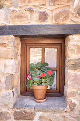 Blumen vor einem Holzfenster eines Steinhauses. - CAVF74700