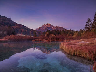 Slovenia, Kranjska Gora, Scenic view of Lake Zelenci at dusk - HAMF00575