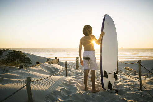 Rear view of boy with surfboard standing on the beach at sunset - SDAHF00426